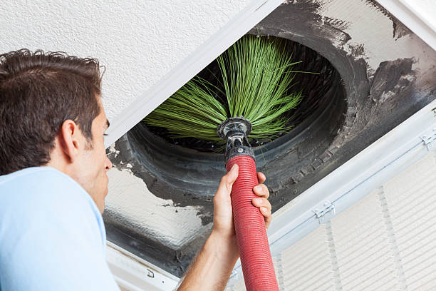 Best Dryer Vent Cleaning Services  in New Rockford, ND